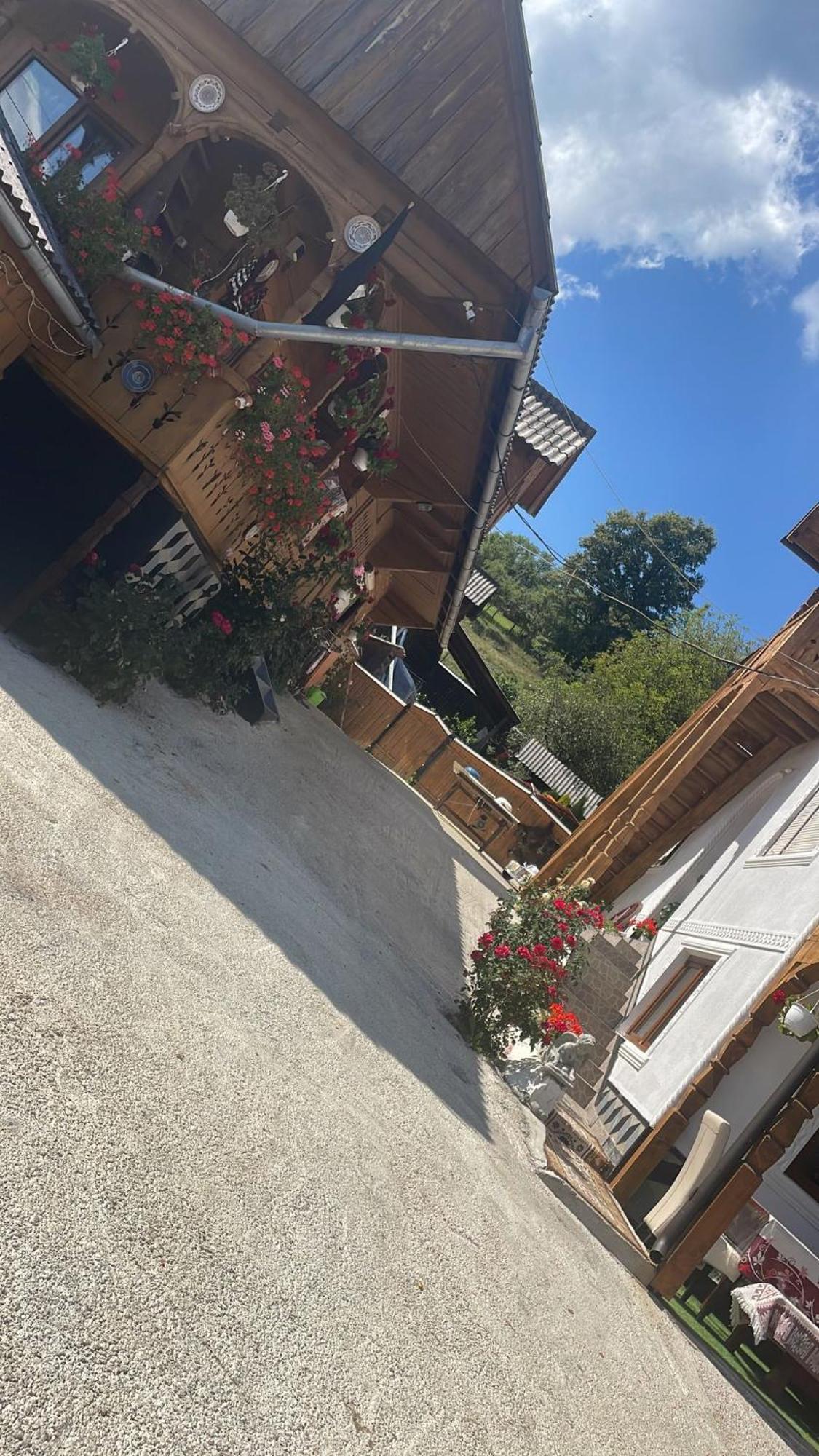 فندق Casa Ionela Petreus بيونيله إيزيه المظهر الخارجي الصورة